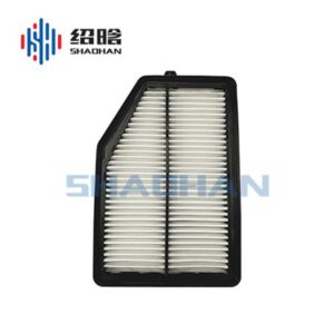 Air Filter 17220-5CA-A00