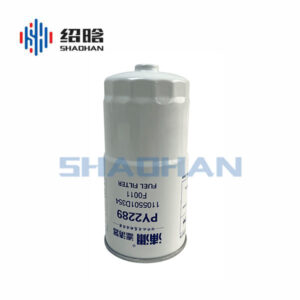 Fuel  Filte 110500020
